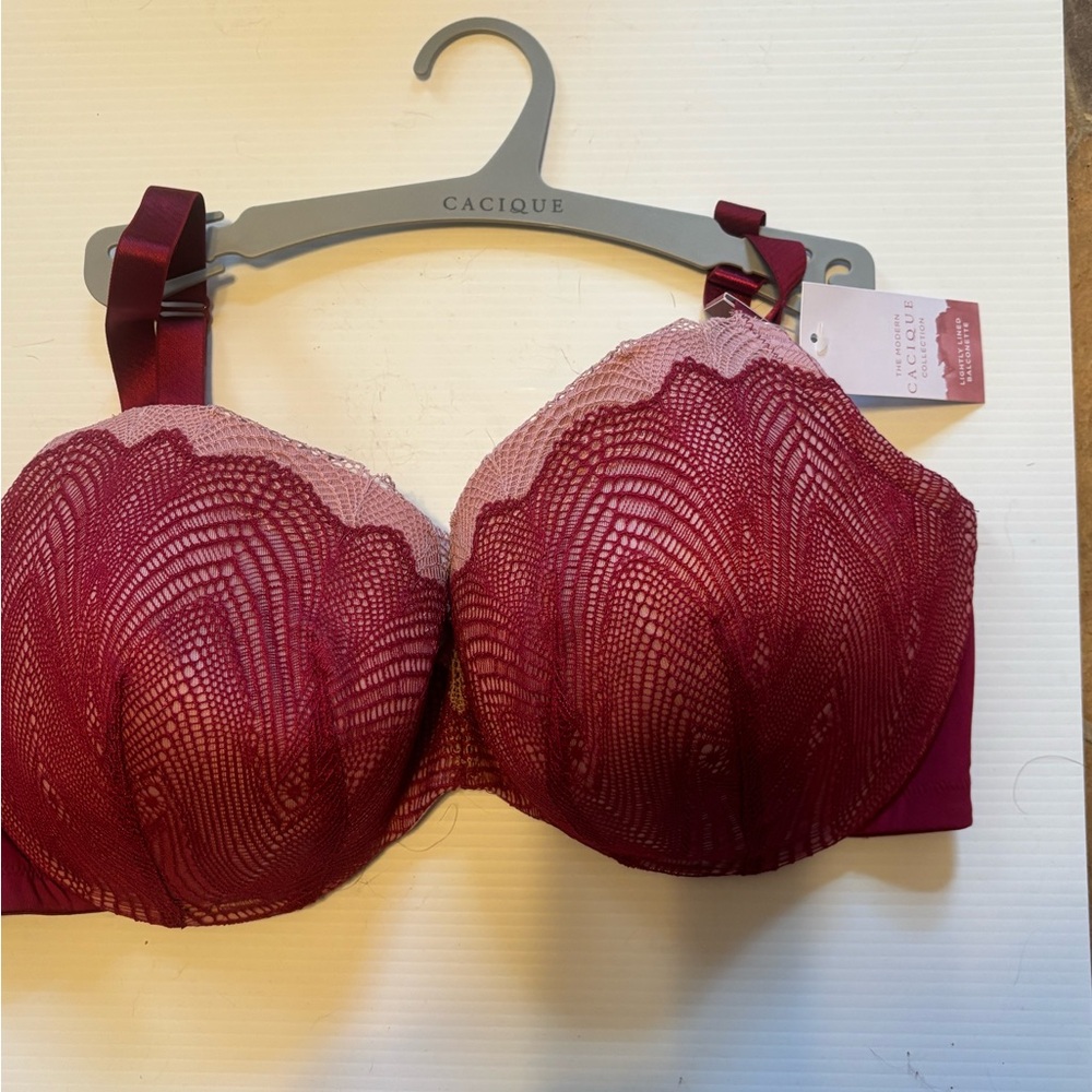 Cacique Burgundy Lace Bra